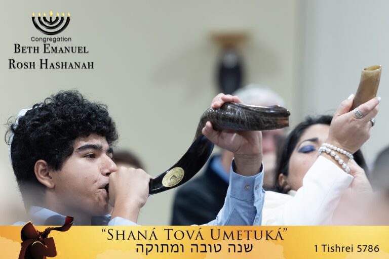 557952854_1200829412073153_1155113690415452756_n